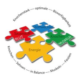 BJH Vital-Kapseln - gut fr Gelenke, Beweglichkeit, Energie mit Calcium