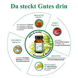 BJH Vital-Kapseln - gut fr Gelenke, Beweglichkeit, Energie mit Calcium