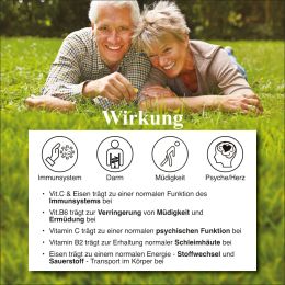 BJH exklusivDarm - fr Energie aus dem Bauch - 20 Bakterienstmme