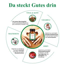 BJH exklusivDarm - fr Energie aus dem Bauch - 20 Bakterienstmme