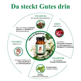 BJH Gehirn plus Herz Aktivum - mit Ginkgo und Weidorn fr Energie - im Fokus als Nahrungsergnzung