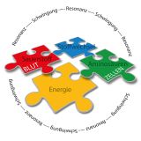 BJH ZellQuelle - Super Food vegan - tglicher Energieschub - mit Lupine