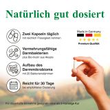 BJH exklusiv Darm - fr Energie aus dem Bauch - 20 Bakterienstmme