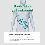 BJH exklusiv Darm - fr Energie aus dem Bauch - 20 Bakterienstmme