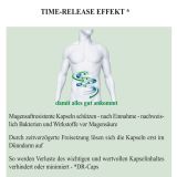 BJH exklusivDarm - für Energie aus dem Bauch - 11 Bakterienstämme