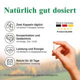 BJH Gehirn plus Herzaktivum - mit Ginkgo und Weidorn - fr Energie und Konzentration plus Herzfunktion untersttzend