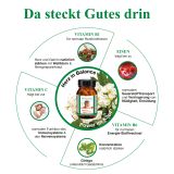 BJH Gehirn plus Herzaktivum - mit Ginkgo und Weidorn - fr Energie und Konzentration plus Herzfunktion untersttzend