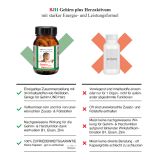 BJH Gehirn plus Herzaktivum - mit Ginkgo und Weidorn - fr Energie und Konzentration plus Herzfunktion untersttzend