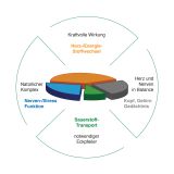 BJH Gehirn plus Herzaktivum - mit Ginkgo und Weidorn - fr Energie und Konzentration plus Herzfunktion untersttzend