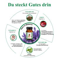 BJH Gehirn plus Herzaktivum - starke Leistung fr Gehirn & Herz
